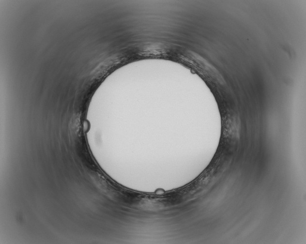 X0000114230560200911061530