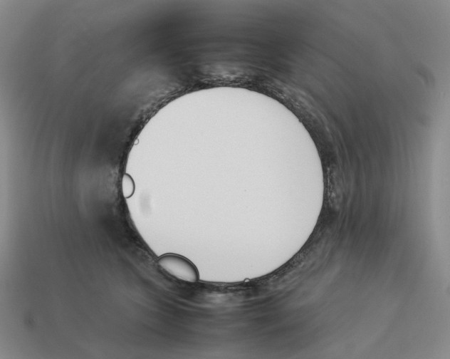 X0000114230563200911061530