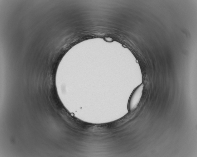 X0000114230568200911061530