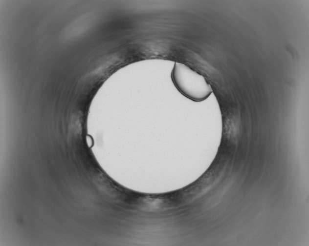 X0000114230570200911061530