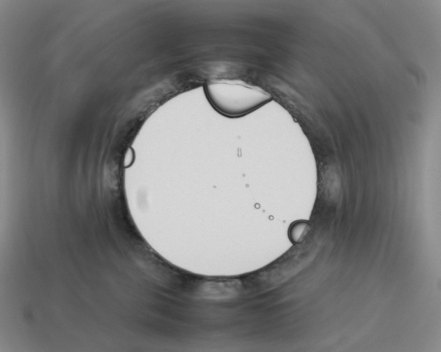 X0000114230571200911061530