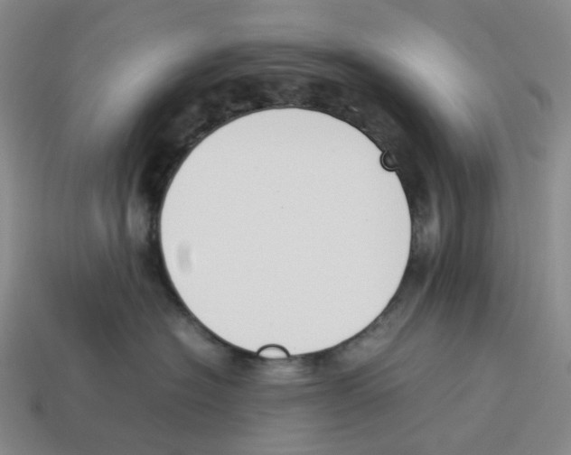 X0000114230574200911061530