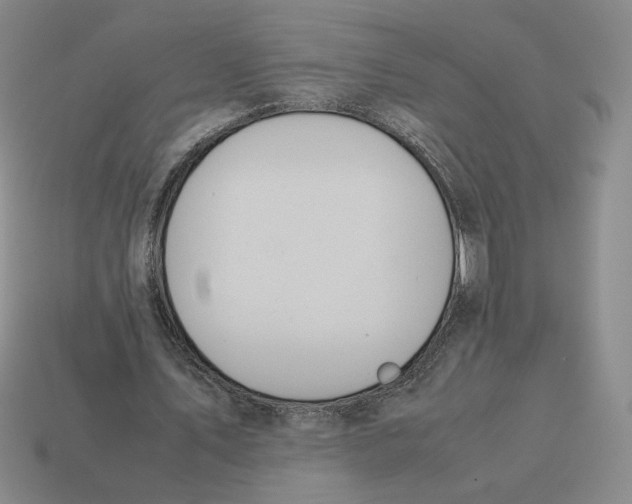 X0000114230579200911061529