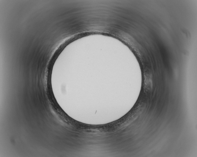 X0000114230580200911061529