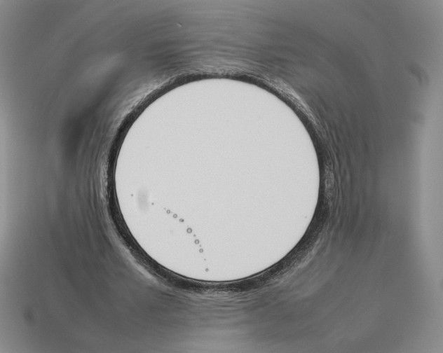X0000114230581200911061529
