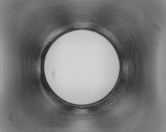 X0000114230582200911061529