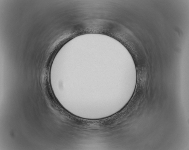 X0000114230583200911061529
