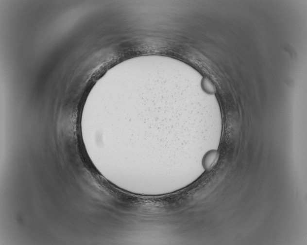 X0000114230585200911061529