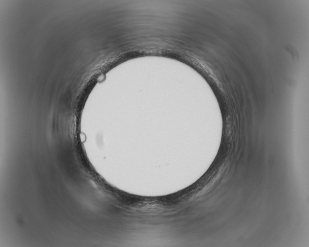 X0000114230589200911061529