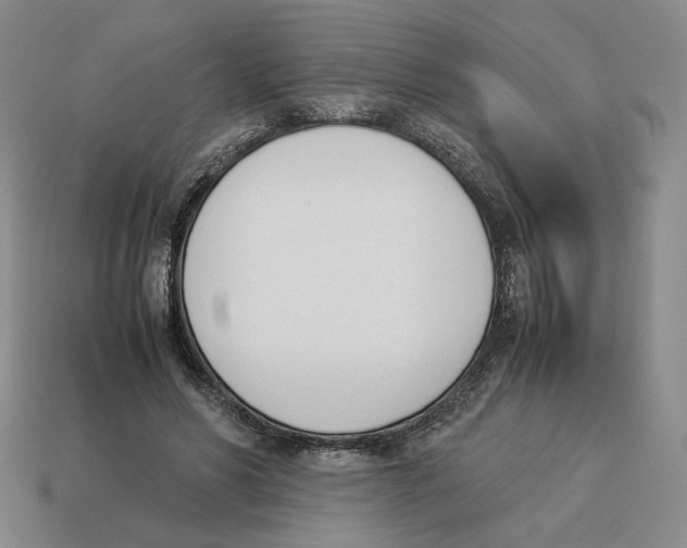 X0000114230590200911061529