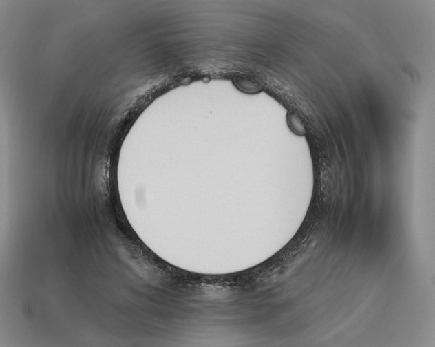 X0000114230592200911061529