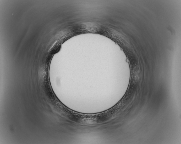 X0000114230595200911061529
