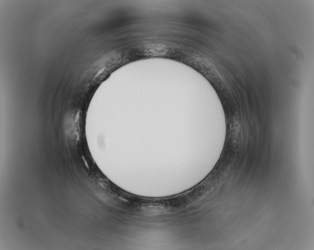 X0000114230598200911061529