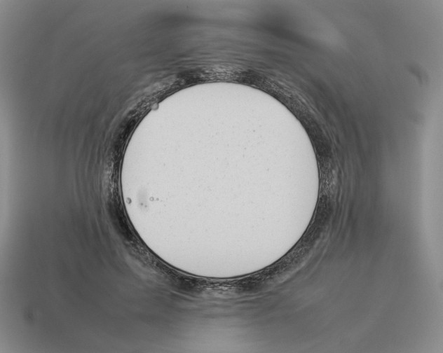 X0000114230599200911061529