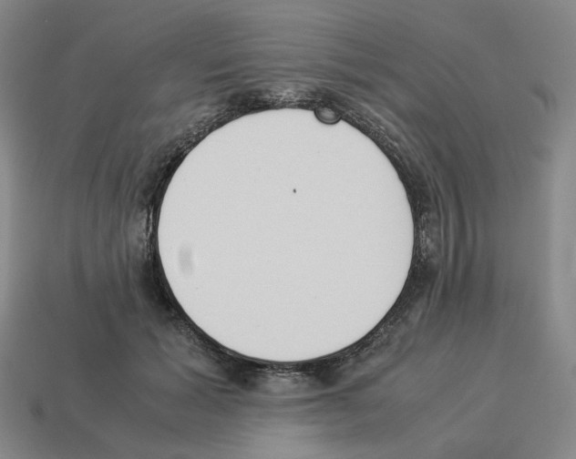 X0000114230605200911061529