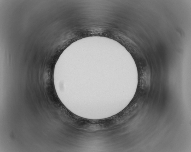 X0000114230608200911061529