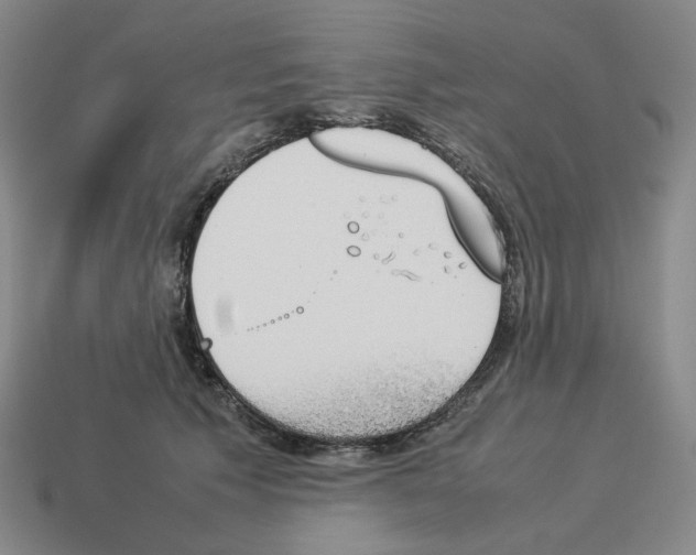 X0000114230609200911061529