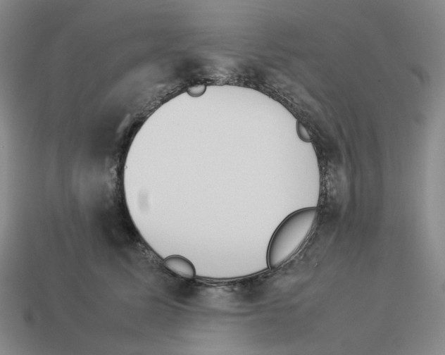 X0000114230611200911061529