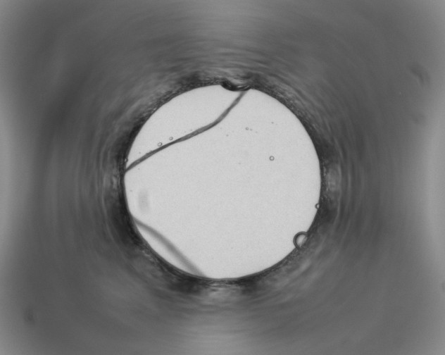 X0000114230617200911061529
