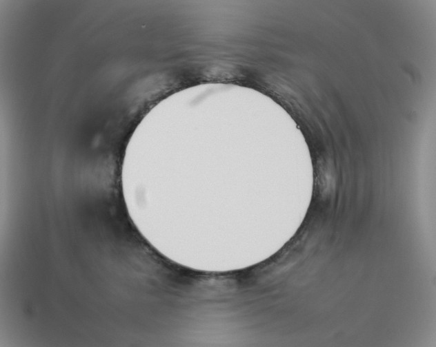 X0000114230619200911061529