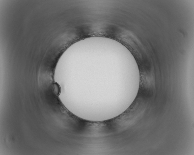 X0000114230621200911061529