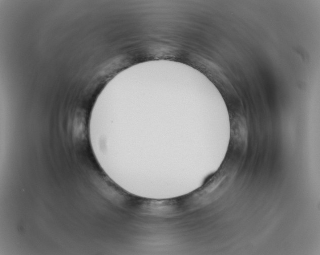 X0000114230622200911061529