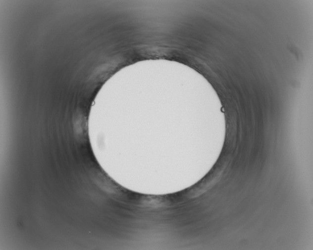 X0000114230624200911061529