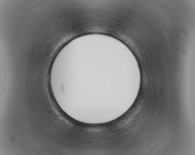 X0000114230625200911061528