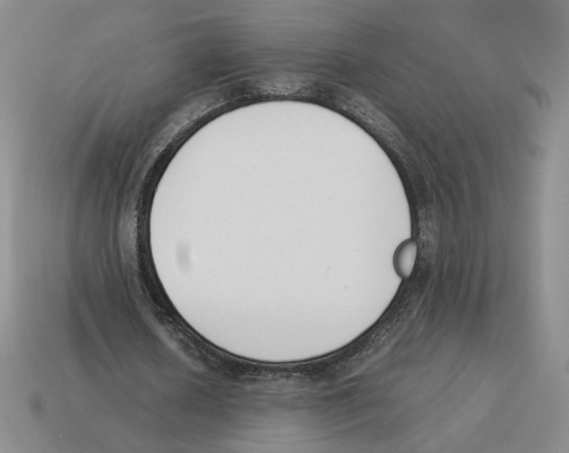 X0000114230626200911061528