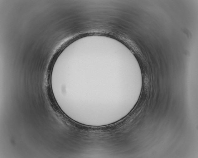 X0000114230628200911061528