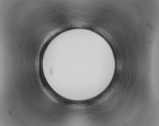 X0000114230630200911061528