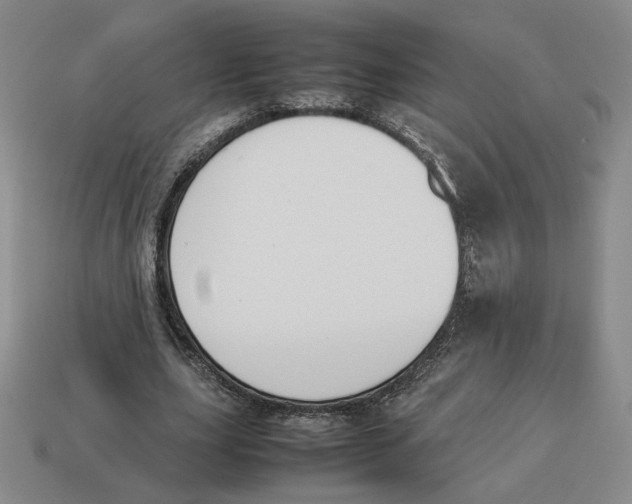 X0000114230631200911061528