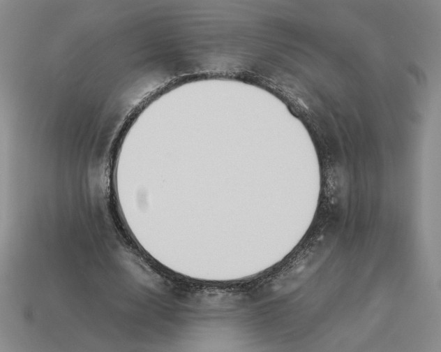 X0000114230632200911061528
