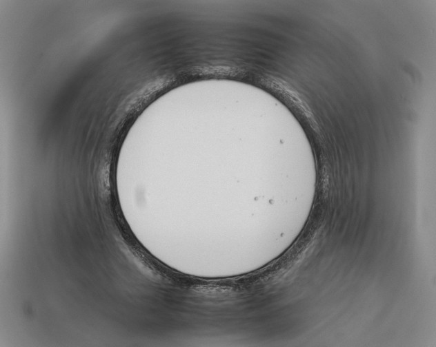 X0000114230633200911061528