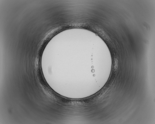 X0000114230636200911061528