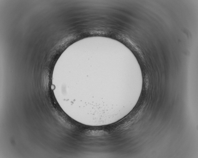 X0000114230637200911061528