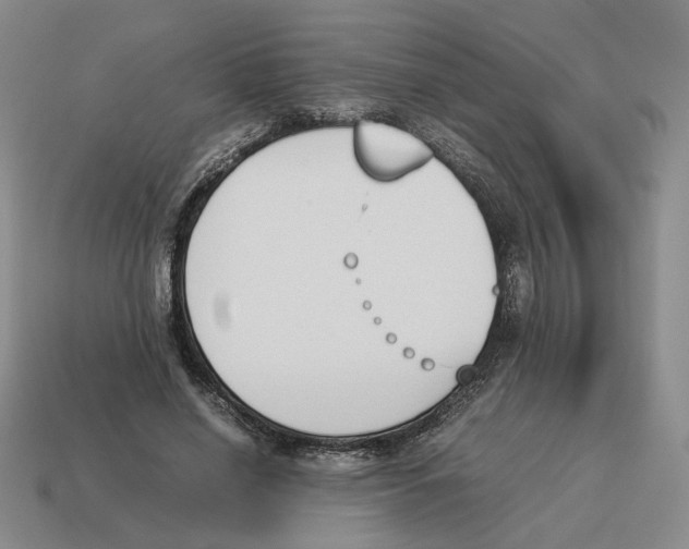 X0000114230638200911061528