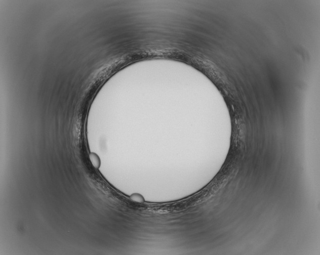 X0000114230640200911061528