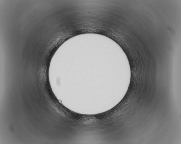 X0000114230642200911061528