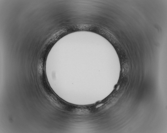 X0000114230644200911061528