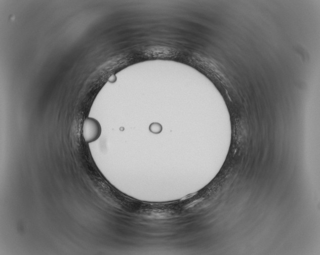 X0000114230645200911061528