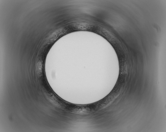 X0000114230646200911061528