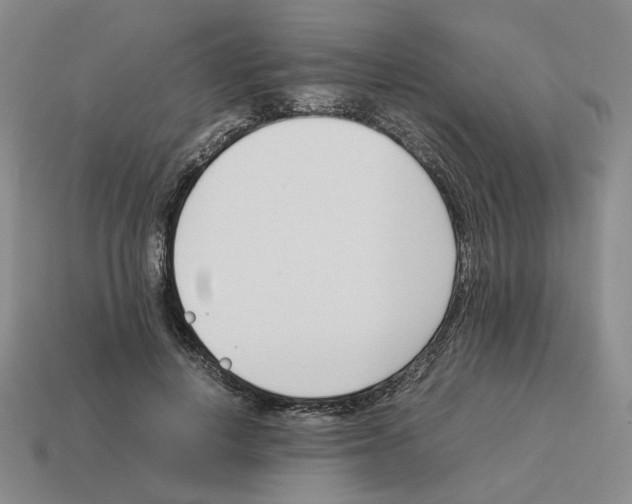 X0000114230648200911061528