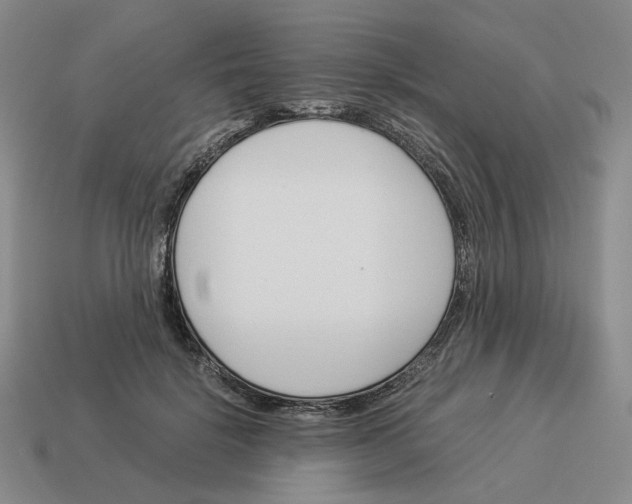 X0000114230652200911061529