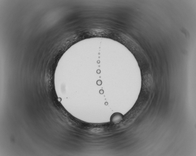 X0000114230653200911061529