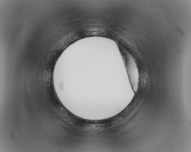 X0000114230657200911061529