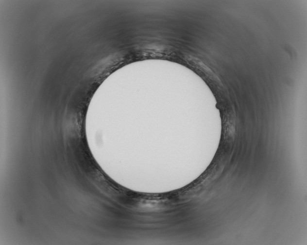 X0000114230661200911061529