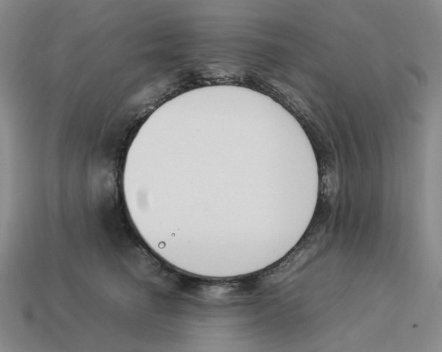 X0000114230662200911061529