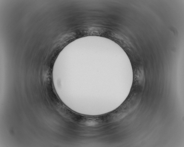 X0000114230663200911061529