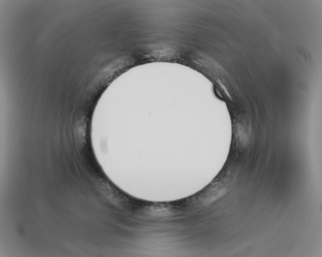 X0000114230668200911061529
